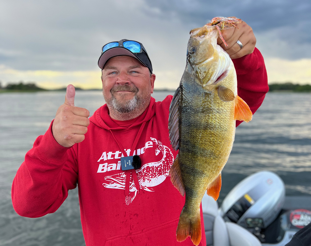 Z-Man Chatterbait Original 10 Gr